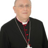 vescovo mons Vito Angiuli